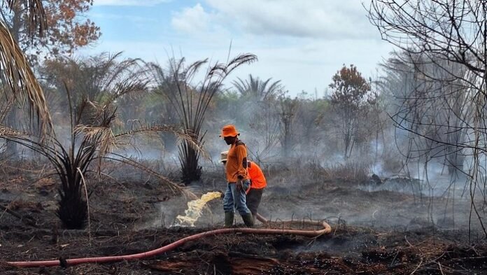 mangala agni Manggala Agni Sumatera Selatan mengirimkan satu regu personelnya untuk membantu penanganan kebakaran hutan dan lahan (karhutla) yang terjadi di Kabupaten Mukomuko, Bengkulu.