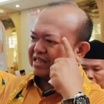 Wakil Ketua Umum DPP Partai Hanura, Patrice Rio Capella.