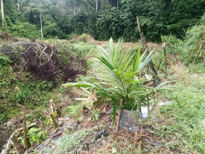 WhatsApp Image 2025-11-06 at 12.25.27