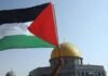 Kondisi Terkini Palestina: Analisis Kemanusiaan dan Data Lapangan