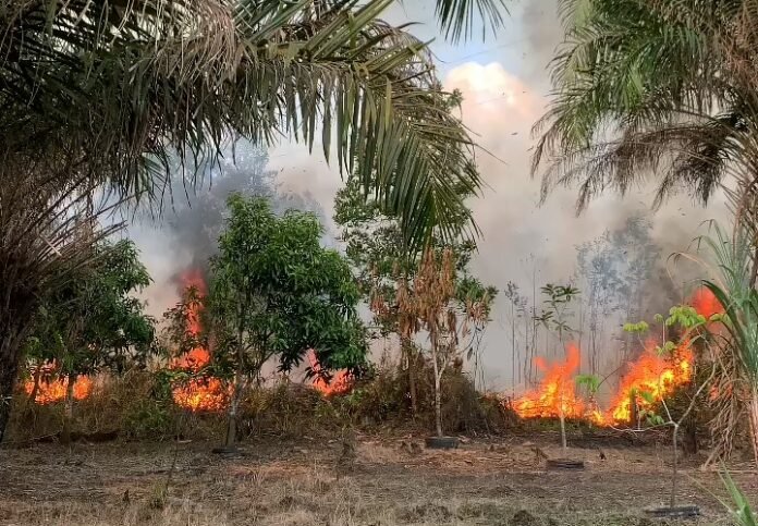 81359816362-screenshot_2025-06-28-15-20-32-86_99c04817c0de5652397fc8b56c3b3817