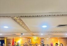 Soroti Iuran Ganda PPPK, Senator Destita Desak Evaluasi Sistem BPJS Kesehatan