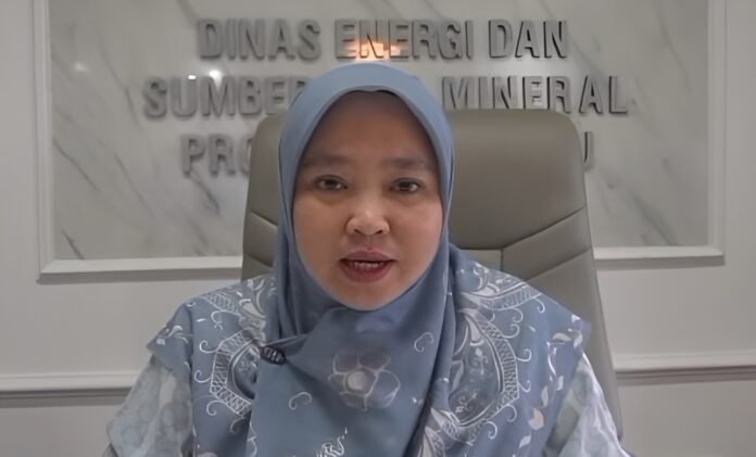 Kepala Dinas ESDM Provinsi Bengkulu, Rico Yulyana, S.P., M.Si (1)