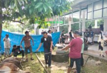 Iduladha 1447 H, Masjid Ali Wal Asri Sembelih 5 Sapi dan 1 Kambing