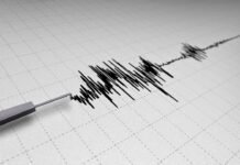 Gempa M5,1 Guncang Bengkulu Selatan, BMKG Pastikan Tidak Berpotensi Tsunami