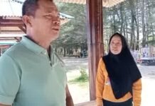 Dispar Bengkulu Tindak Dugaan Pungli di Gazebo Pantai Panjang