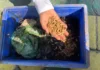 DLH Kota Bengkulu Ajak Masyarakat Pilah Sampah dari Rumah, Dorong Bank Sampah dan Budidaya Maggot