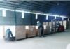 Kayu Karet Bengkulu Tembus Pasar Tiongkok, Ekspor Capai 270 Meter Kubik
