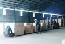 Kayu Karet Bengkulu Tembus Pasar Tiongkok, Ekspor Capai 270 Meter Kubik