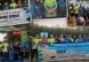 Road to HKAN 2026, BKSDA Bengkulu Lepasliarkan Tukik dan Elang Bondol
