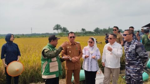 Senator Destita: Ketahanan Pangan Daerah Tanggung Jawab Bersama