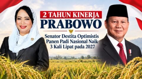 Senator Destita Apresiasi 2 Tahun Kinerja Prabowo, Optimis Panen Padi Nasional Naik 3 Kali Lipat pada 2027